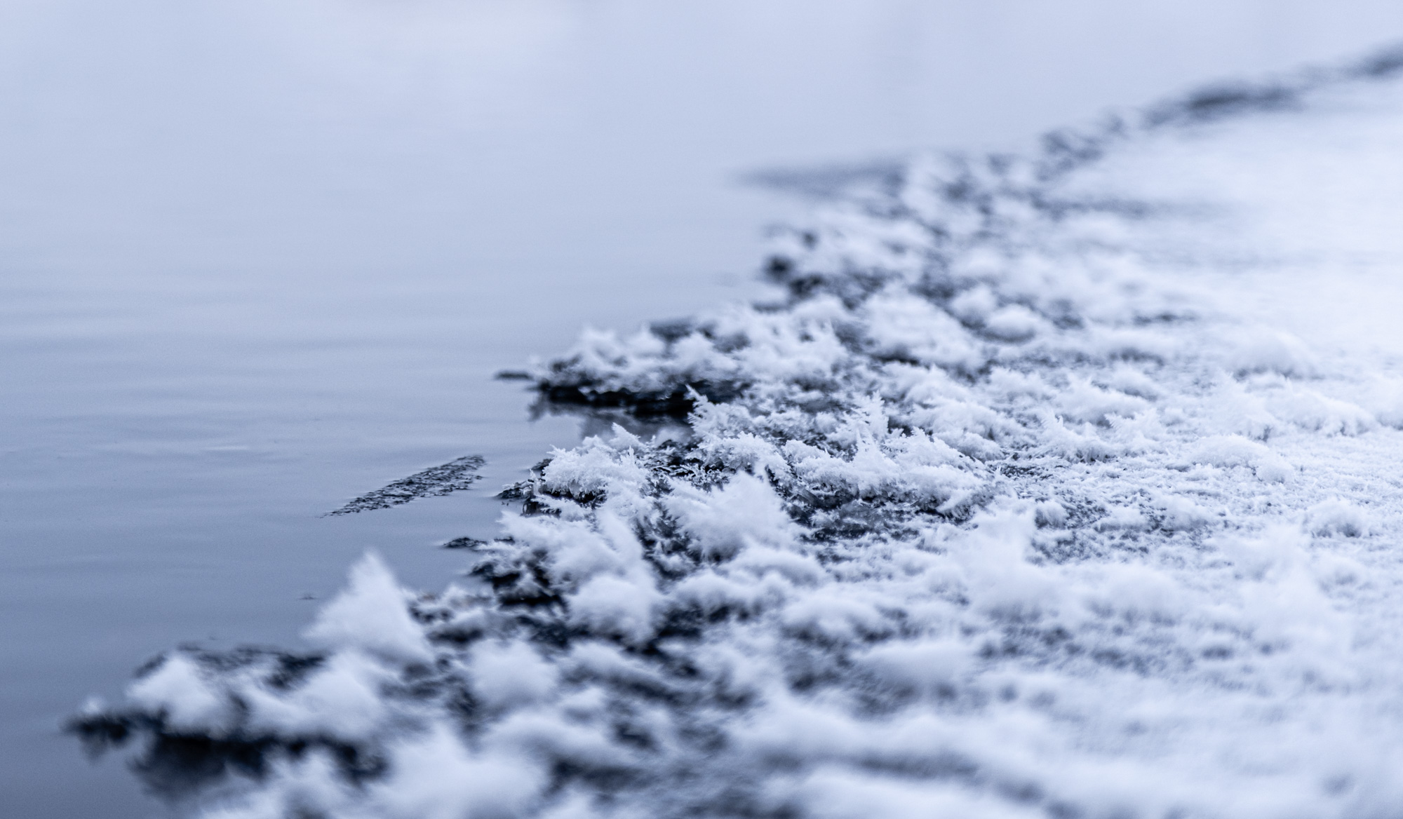 2024 01 04  xt 5   7395